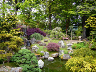 Картинка природа парк usa japanese san francisco