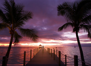 Картинка природа тропики пальмы океан море любовь закат