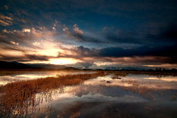 Картинка природа реки озера камыш восход озеро