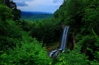 Картинка природа водопады пейзаж леса