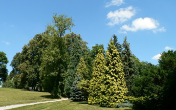 Картинка природа парк деревья дорожка