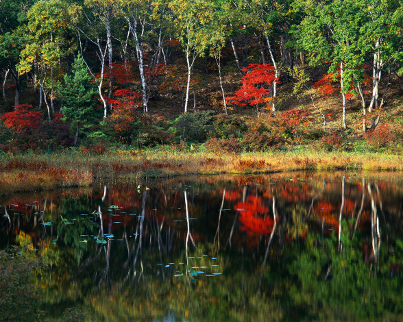 Обои картинки фото природа, реки, озера, осень, лесное, озеро, водоём, река