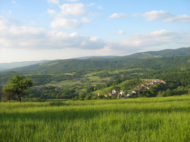 Обои картинки фото природа, пейзажи, hill, tree, mountain, village