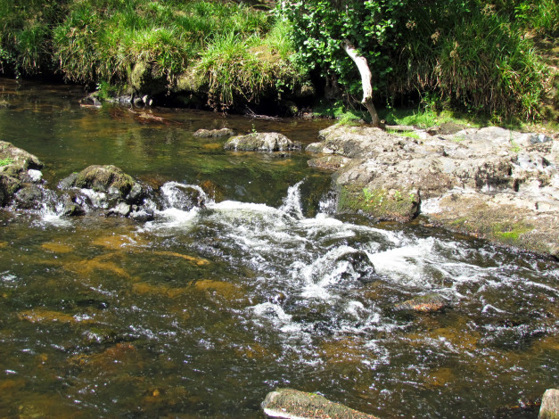 Обои картинки фото природа, реки, озера, river, teign, камни