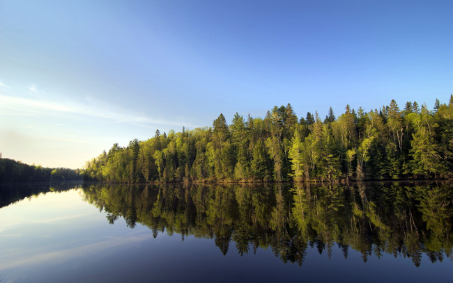 Обои картинки фото природа, реки, озера, озеро, лес, деревья
