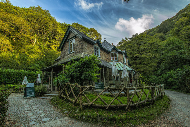 Обои картинки фото cafe in the woods, города, - здания,  дома, дом, кафе