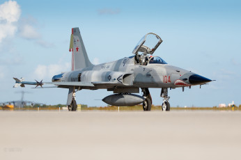 Картинка northrop+f-5n+tiger авиация боевые+самолёты истребитель