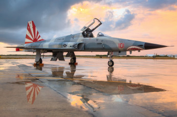 Картинка northrop+f-5n+tiger авиация боевые+самолёты истребитель