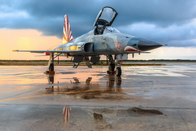 Обои картинки фото northrop f-5n tiger, авиация, боевые самолёты, истребитель