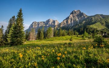 Картинка природа горы цветы небо зелень австрия луг деревья трава солнце альпы скалы