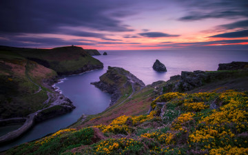 Картинка природа побережье великобритания горизонт склон цветы камни скалы закат небо море
