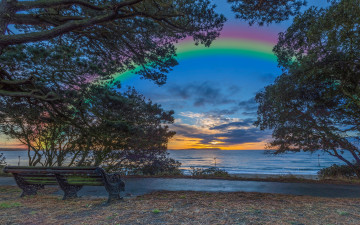 Картинка природа радуга ветки скамейка вечер закат англия листва christchurch побережье дорожка горизонт облака небо море деревья