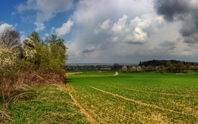 Обои картинки фото природа, поля, германия, дома, пасмурно, деревья, трава, тучи, облака, небо, дорога, schoenbach, бавария