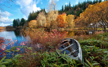Картинка корабли лодки +шлюпки лодка озеро водоем природа лес