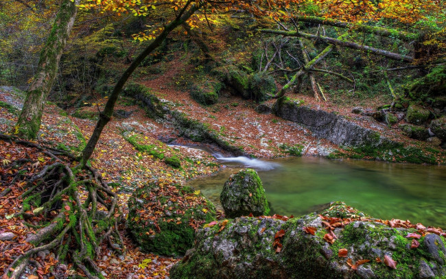 Обои картинки фото природа, реки, озера, листья, лес, камни, ручей, деревья, осень