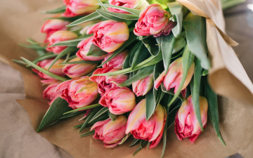 обоя цветы, тюльпаны, букет