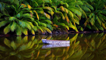 Картинка корабли лодки +шлюпки пальмы лодка отражение