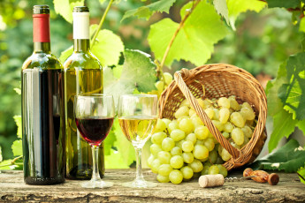 Картинка еда напитки вино виноград бокалы бутылки корзинка штопор пробка