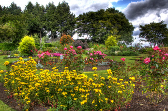 Картинка queen elizabeth garden vancouver канада природа парк розы кусты клумбы