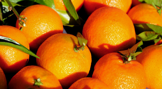 Обои картинки фото еда, цитрусы, мандарины, оранжевый