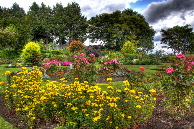 Обои картинки фото queen, elizabeth, garden, vancouver, канада, природа, парк, розы, кусты, клумбы