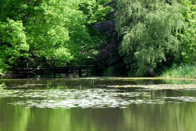 Обои картинки фото германия, park, burg, anholt, природа, парк, водоем, мостик, деревья