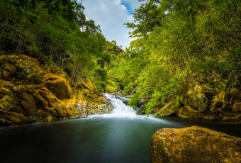 Картинка природа реки озера вода поток лес