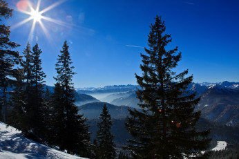Картинка bavarian alps germany природа горы ели германия баварские альпы
