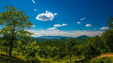Картинка природа деревья горы долина панорама пейзаж