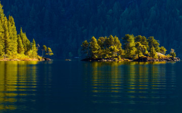 Картинка cowichan lake vancouver island british columbia canada природа реки озера деревья остров ванкувер лес островок канада озеро кауичан вода