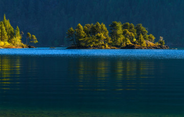 Картинка природа реки озера остров ванкувер озеро кауичан vancouver island cowichan lake островок канада лес деревья вода canada