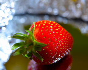 Картинка еда клубника +земляника макро красная ягода