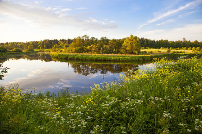 Обои картинки фото природа, реки, озера, трава, река, тверь, россия