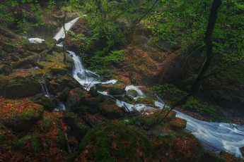 Картинка природа реки озера испания провинция бискайя деревья лес страна басков