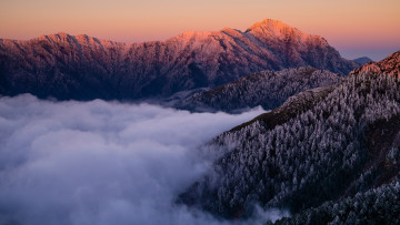 Картинка природа горы закат пейзаж небо вид вершины снежные туман снег высота лес холмы вечер ели зима освещение иней склон холод красота ёлки