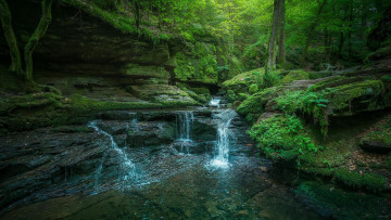 Картинка природа водопады деревья лес водопад скалы камни