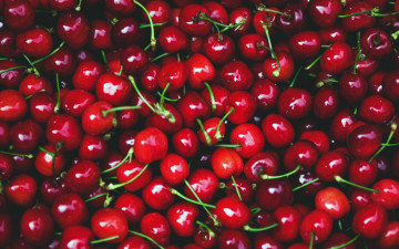 Картинка еда вишня +черешня алая черешня сочные много сочно красная сияние урожай изобилие насыщенность цвет ягоды плодоножки блеск