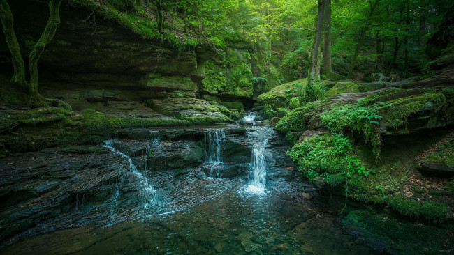 Обои картинки фото природа, водопады, деревья, лес, водопад, скалы, камни