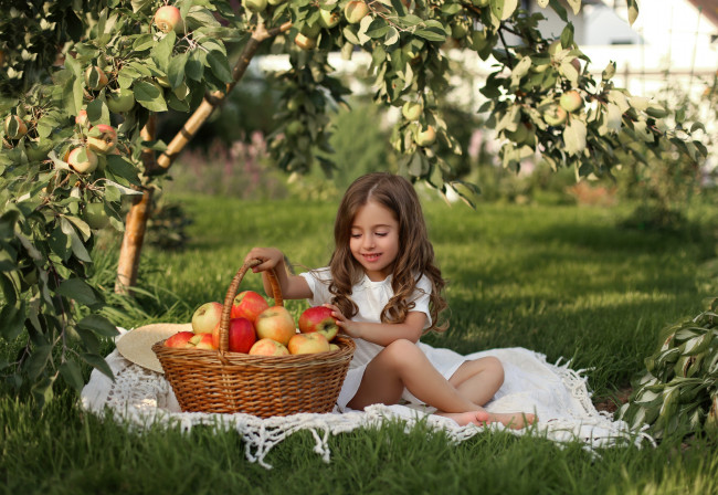Обои картинки фото разное, дети, девочка, корзина, яблоки