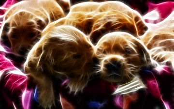 Картинка 3д графика animals животные щенки