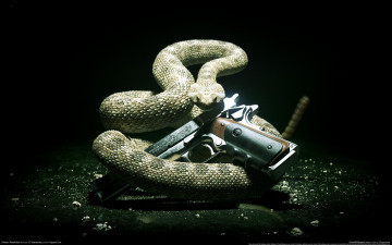 Картинка hitman absolution видео игры змея оружие пистолет
