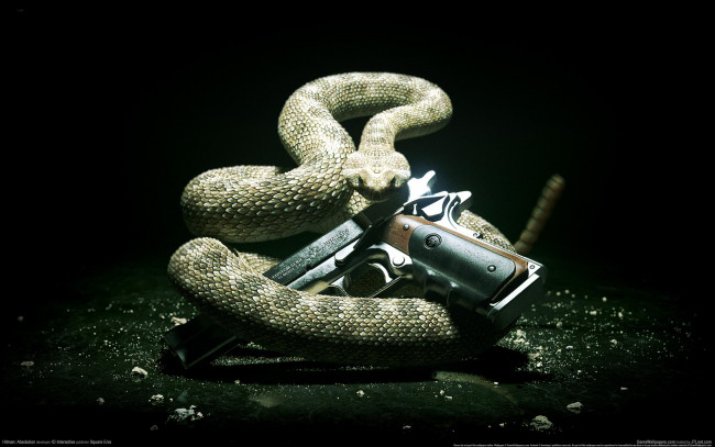 Обои картинки фото hitman, absolution, видео, игры, змея, оружие, пистолет