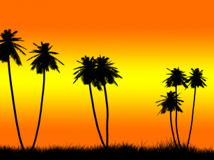 Картинка 3д графика nature landscape природа пальмы