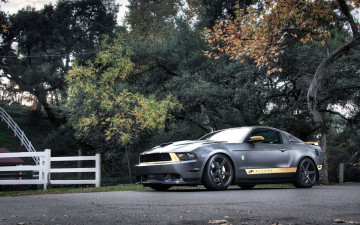 Картинка ford mustang chicane edition автомобили осень серый тюнинг