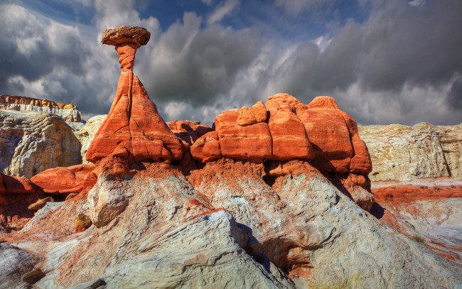 Обои картинки фото toadstool, природа, горы, скалы, каменный, гриб