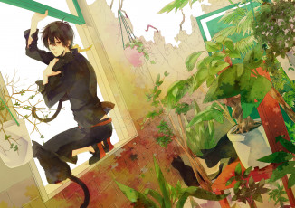 Картинка аниме katekyo+hitman+reborn аркабалено парень учитель мафиози реборн брюнет окно растения коты