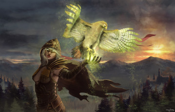 Картинка фэнтези магия арт девушка птица капюшон горы лес