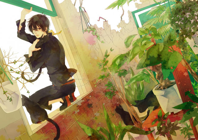 Обои картинки фото аниме, katekyo hitman reborn, аркабалено, парень, учитель, мафиози, реборн, брюнет, окно, растения, коты