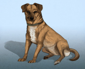 Картинка рисованное животные +собаки взгляд собака