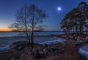 Картинка швеция природа побережье камни деревья водоем луна